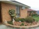 Wingham NSW 2429