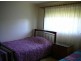 Wingham NSW 2429