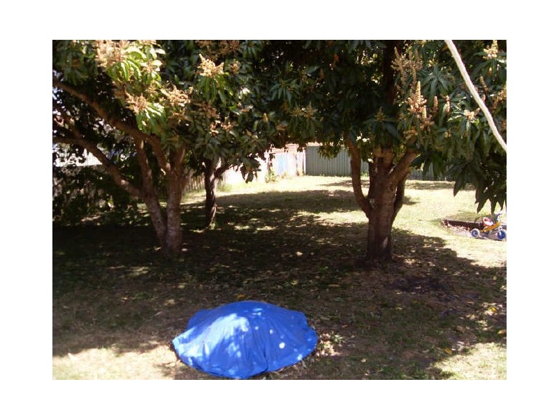 Taree NSW 2430