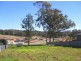 Taree NSW 2430