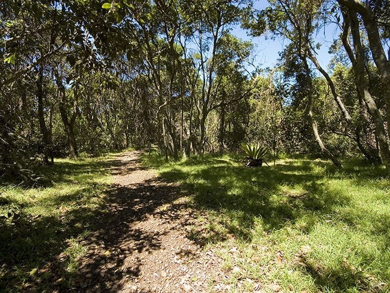 6a Manning St, Manning Point NSW 2430