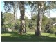 Tinonee NSW 2430