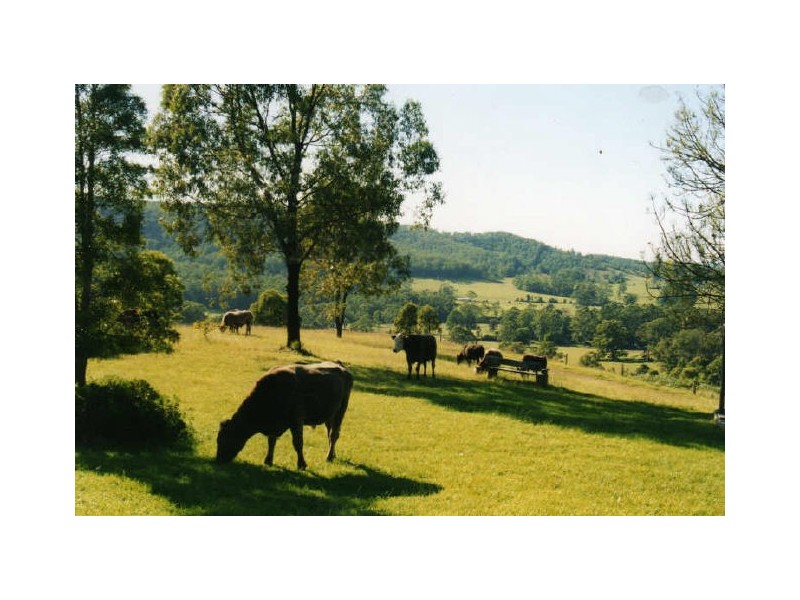 Nabiac NSW 2312
