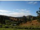 Nabiac NSW 2312