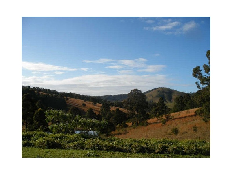 Nabiac NSW 2312