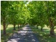 Dumaresq Island NSW 2430