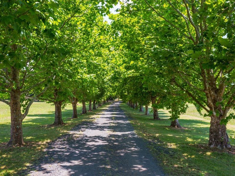 Dumaresq Island NSW 2430