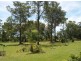 Taree NSW 2430