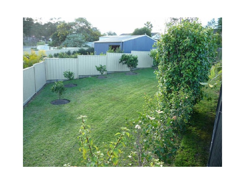 Wingham NSW 2429