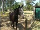 38 Kolinda Drive, Old Bar NSW 2430