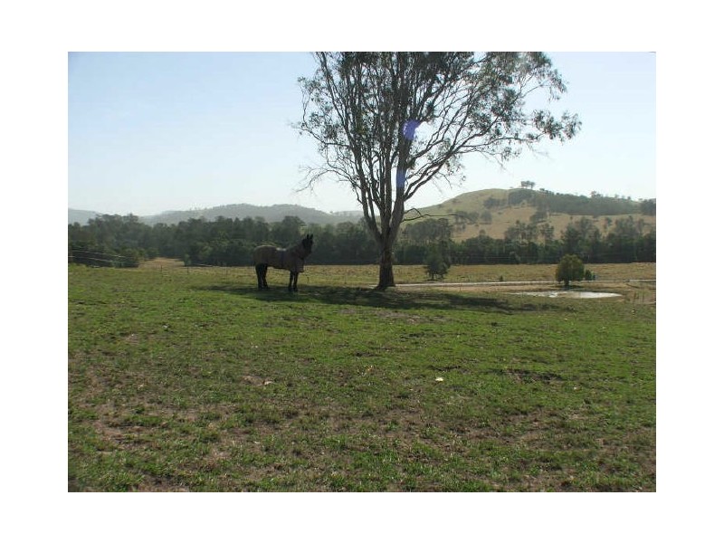 Burrell Creek NSW 2429