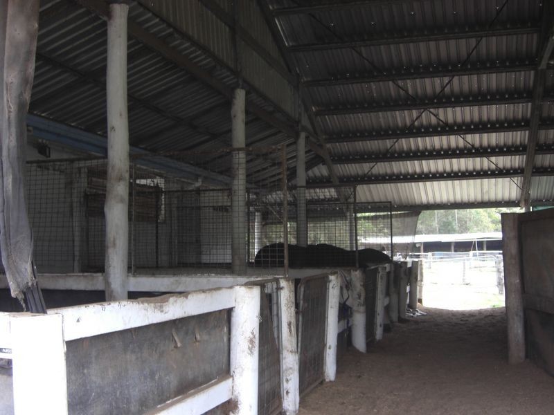 6 Urara Lane, Taree NSW 2430