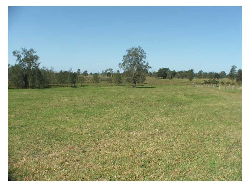 461 Kundle Kundle Rd, Cundletown NSW 2430