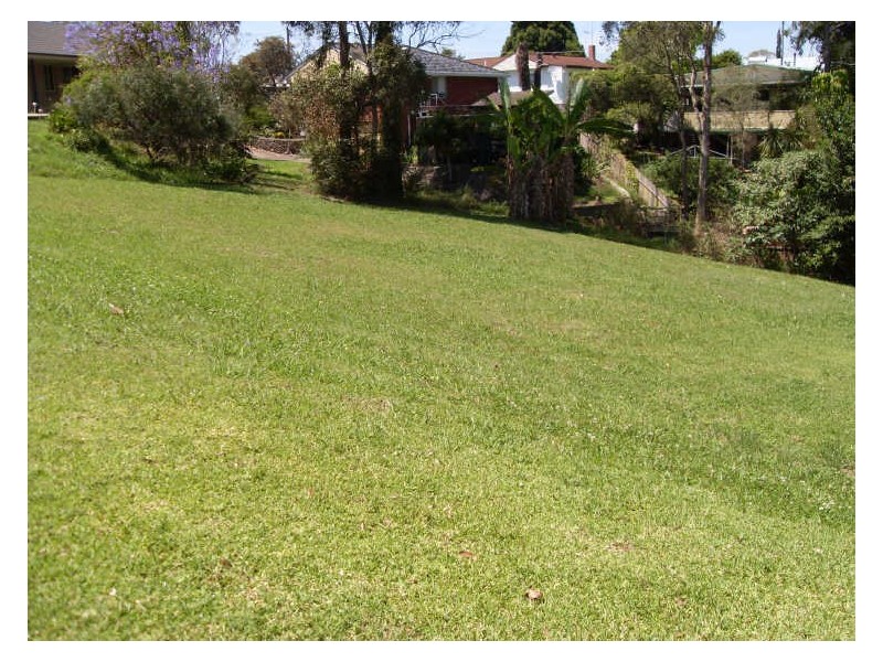 Taree NSW 2430