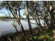 Dumaresq Island NSW 2430