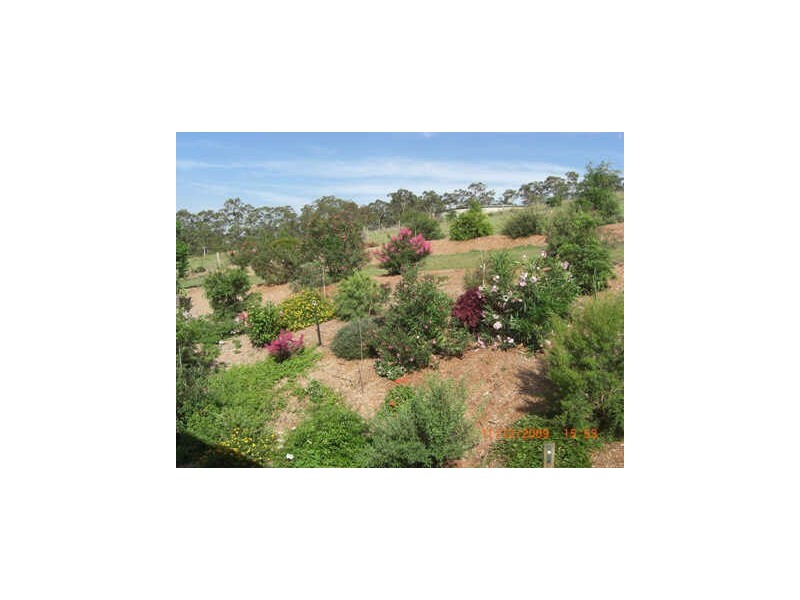 Taree NSW 2430