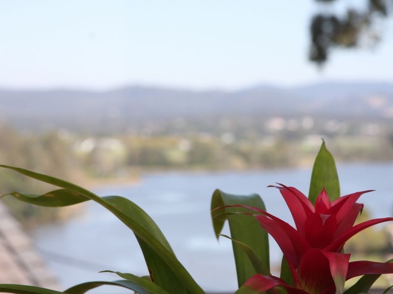 11 Cowan Road, Taree NSW 2430