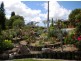 Taree NSW 2430