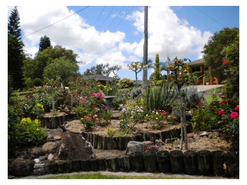 Taree NSW 2430