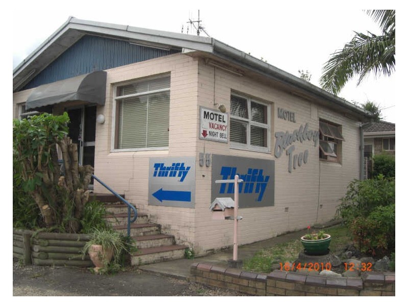 55 Chatham Avenue, Taree NSW 2430