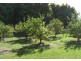 Rainbow Flat NSW 2430