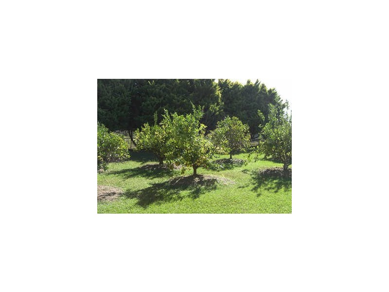 Rainbow Flat NSW 2430