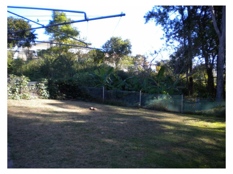 Taree NSW 2430
