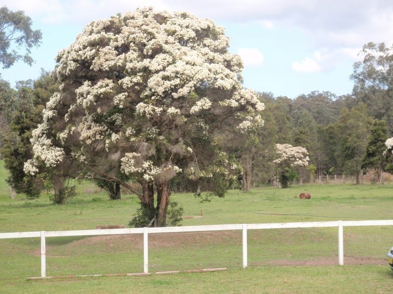 27a Denva Road, Taree NSW 2430