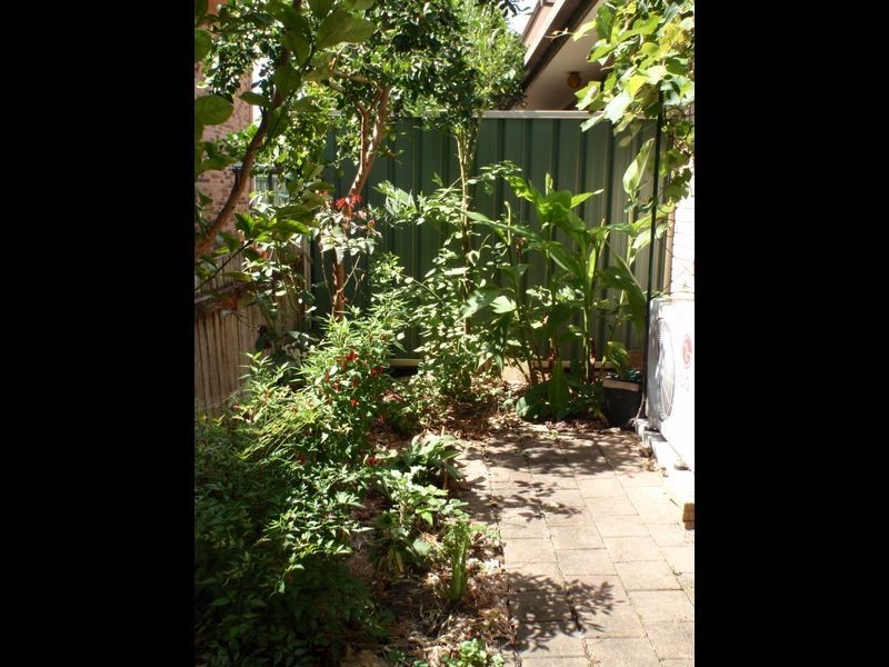 Taree NSW 2430