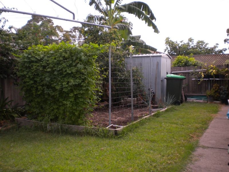Taree NSW 2430