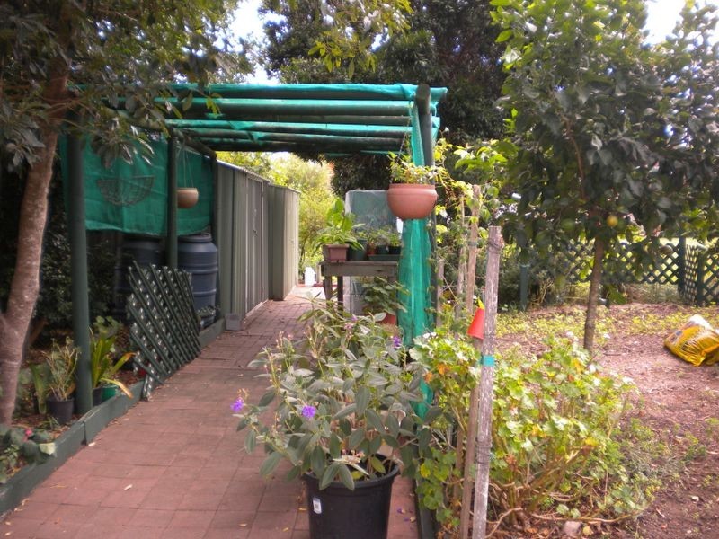 26 Winter Street, Tinonee NSW 2430