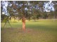 124 Cedar Party Road, Taree NSW 2430