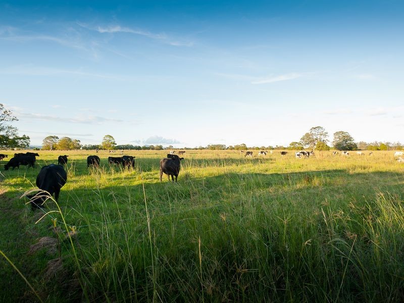 51 Oxley Bend Road, Cundletown NSW 2430