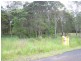 10 Upper Lansdowne Rd, Lansdowne NSW 2430