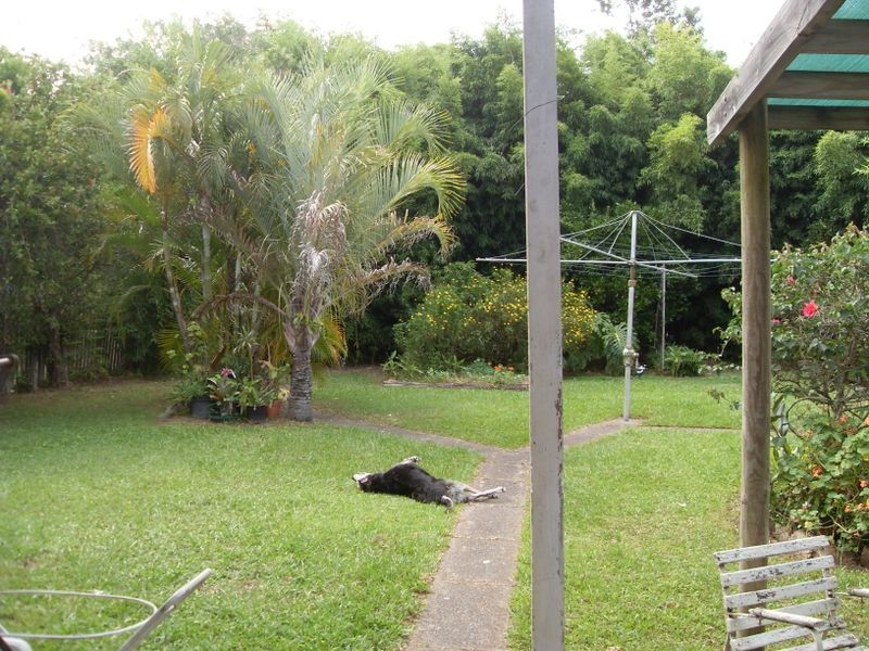 1 Mackay Street, Taree NSW 2430