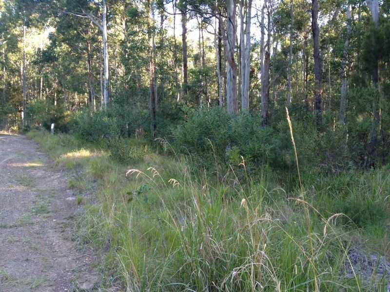 232 Saltwater Road, Wallabi Point NSW 2430