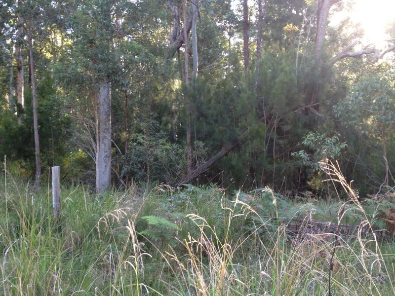 232 Saltwater Road, Wallabi Point NSW 2430