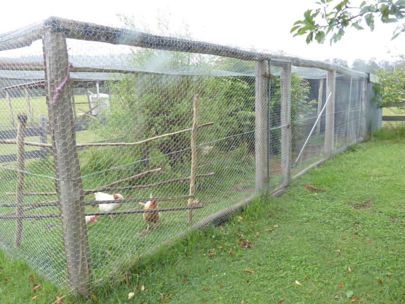 1072 Manning Hill Road, Bunyah NSW 2429