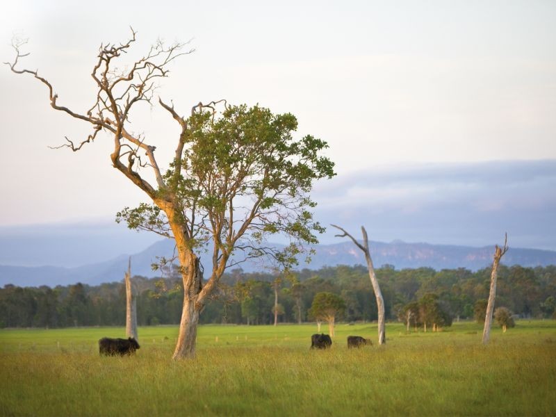 252 Kundle Kundle Road CUNDLETOWN, Taree NSW 2430