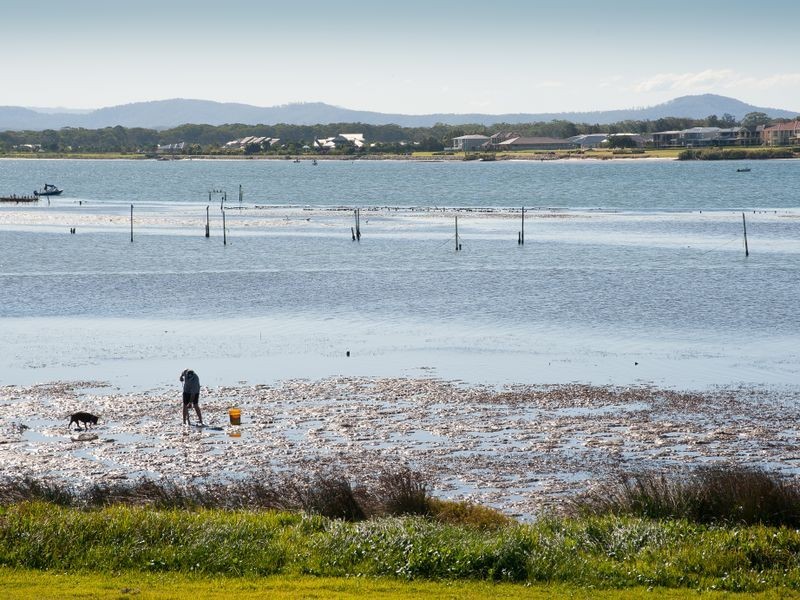 7 Main Road, Manning Point NSW 2430