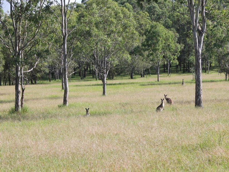 48 Cashmere Lane, Upper Lansdowne NSW 2430