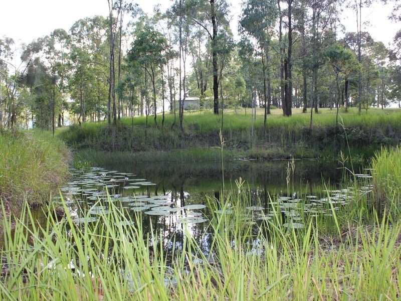 48 Cashmere Lane, Upper Lansdowne NSW 2430