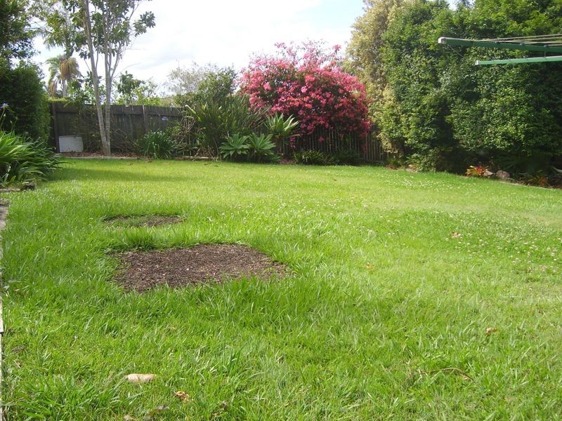 22 Gunbar Road, Taree NSW 2430