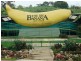 Shop 2/351 Pacific Highway, Coffs Harbour NSW 2450