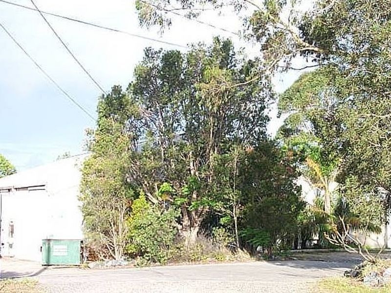 39 Bosworth Road, Woolgoolga NSW 2456