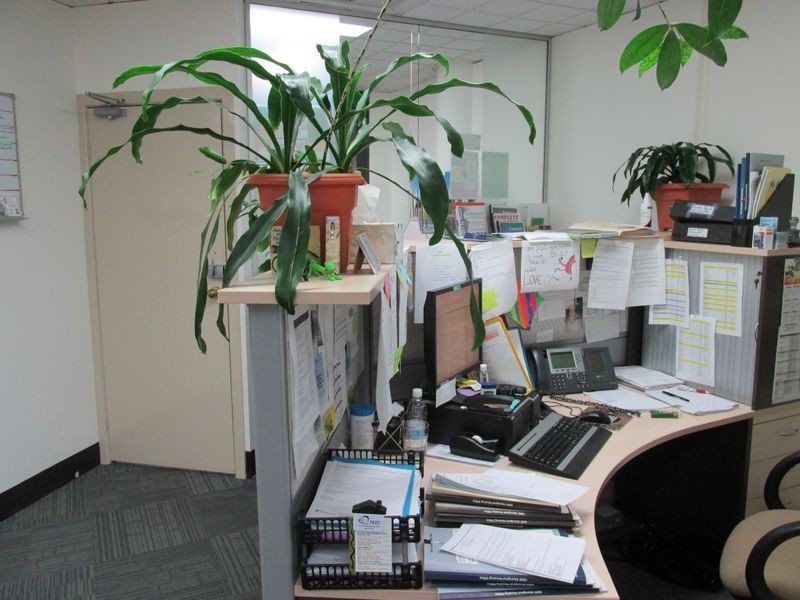 C/Level 1/144-148 West High Street, Coffs Harbour NSW 2450