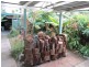 6 Earl Street, Coffs Harbour NSW 2450