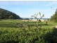 Coffs Harbour NSW 2450