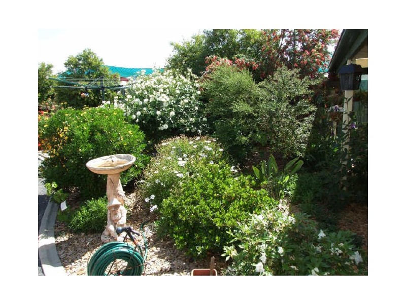 31 Victoria Street, Wahgunyah VIC 3687