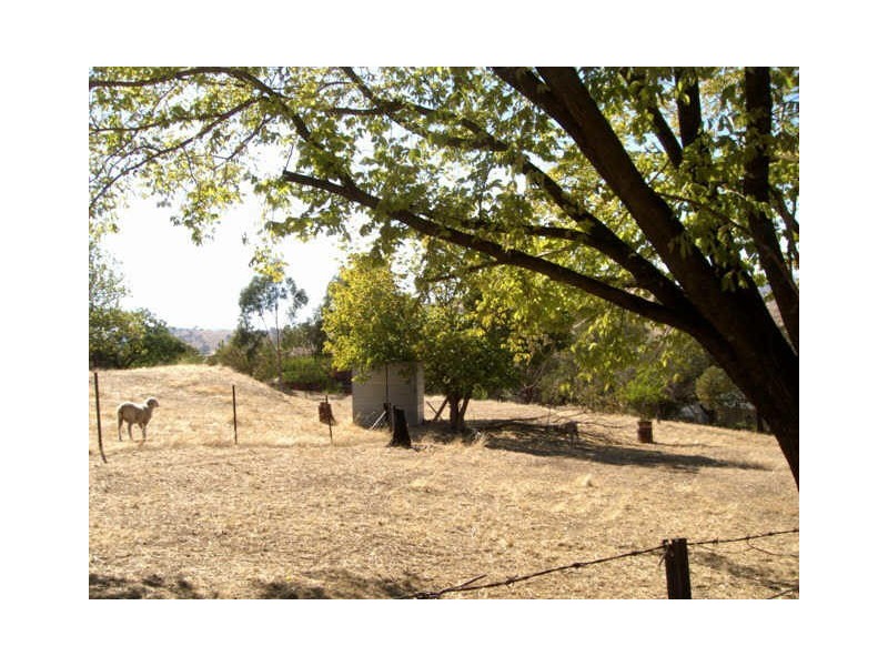 5 Church Street, Bethanga VIC 3691